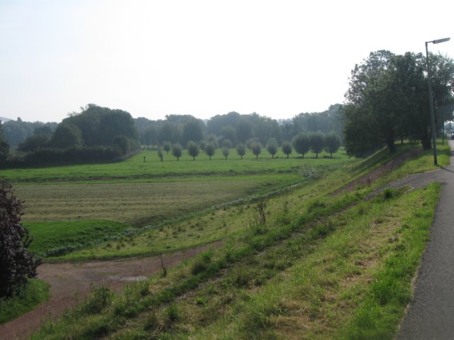 img_5065.jpg