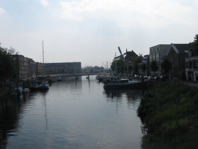 img_5135.jpg