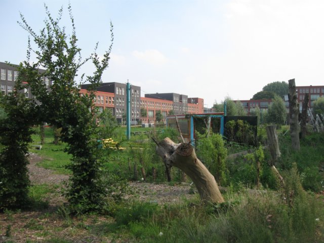 img_5146.jpg