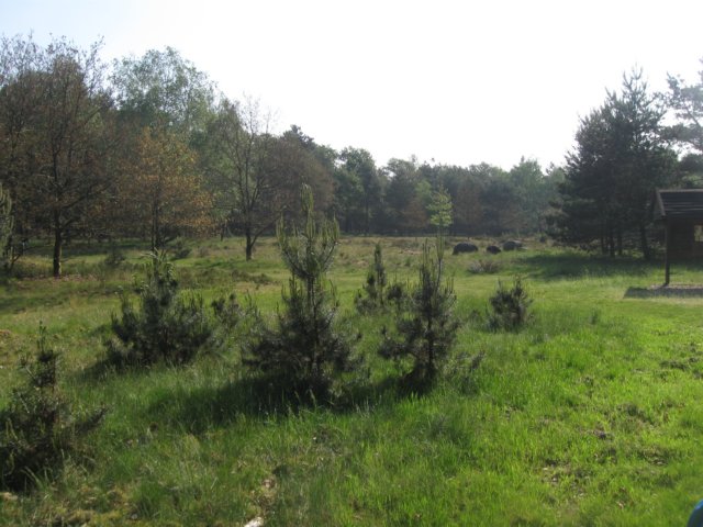 img_2428.jpg