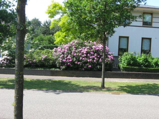 img_2487.jpg