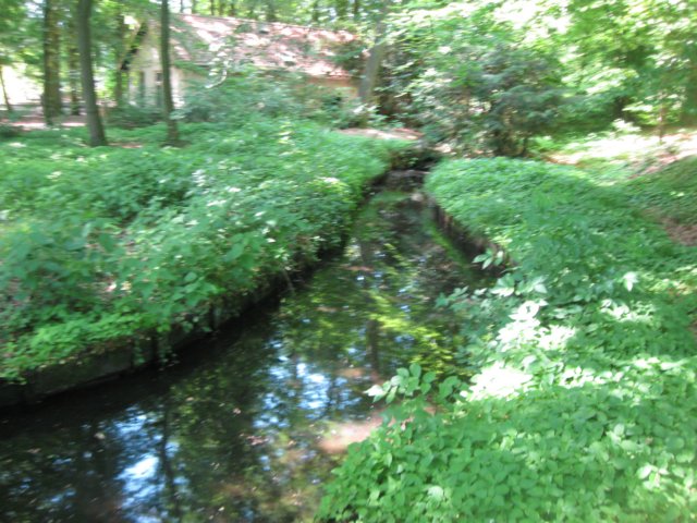 img_2507.jpg