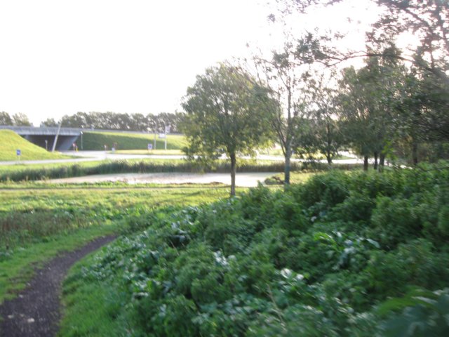 img_5431.jpg
