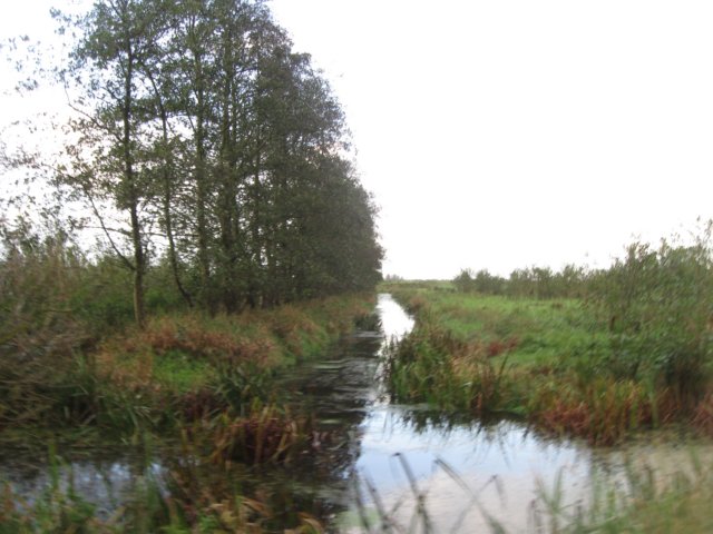 img_5436.jpg