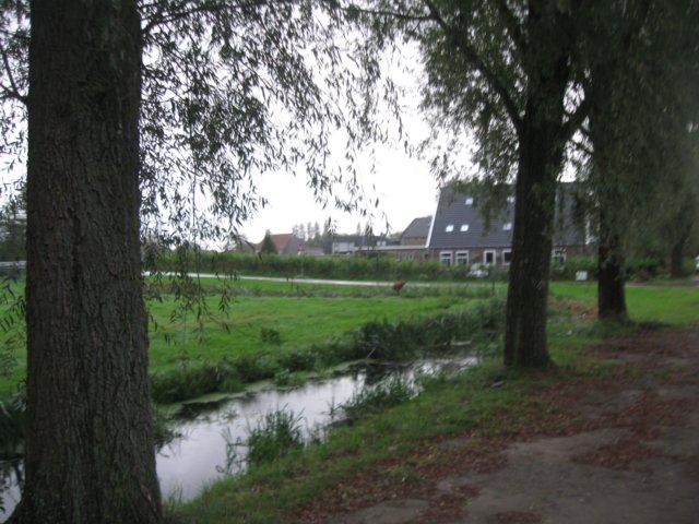 img_5451.jpg