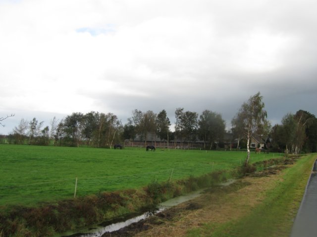 img_5474.jpg