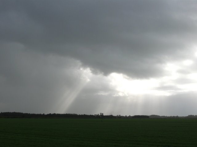 img_5479.jpg