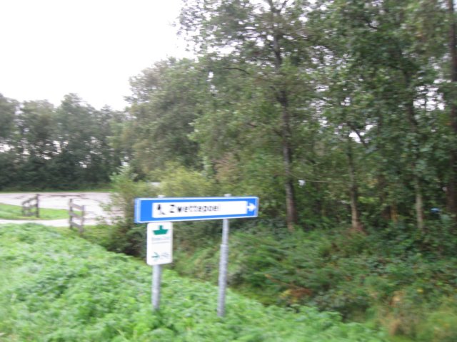 img_5490.jpg