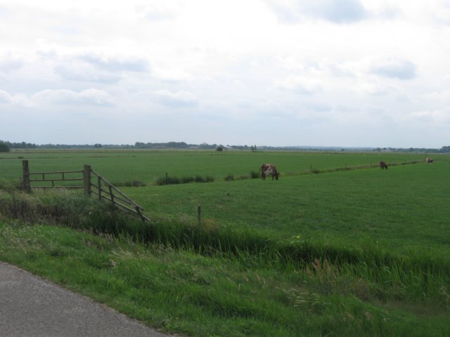 img_2664.jpg