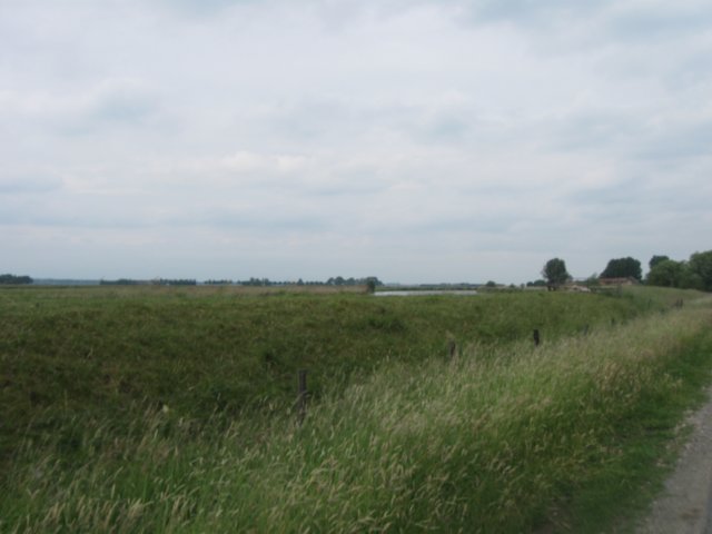 img_2704.jpg