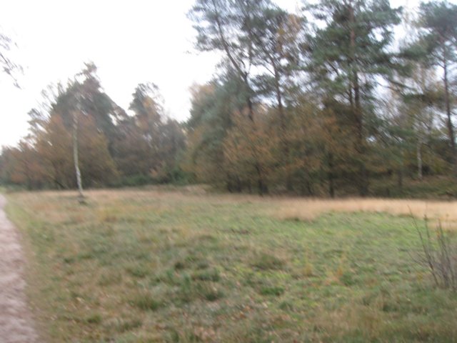 img_5745.jpg