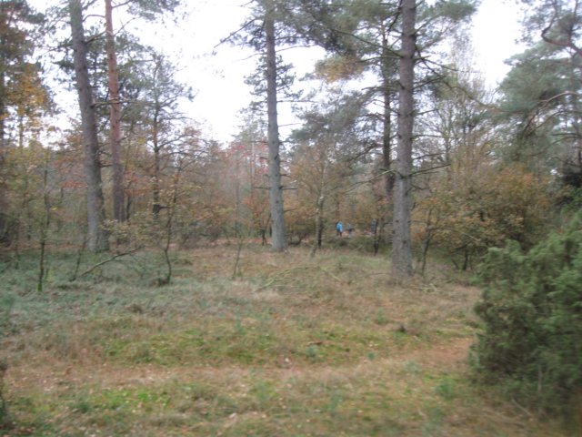 img_5746.jpg