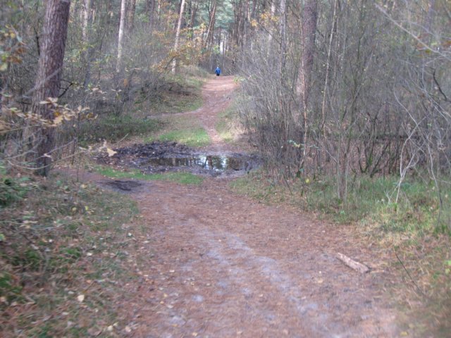 img_5801.jpg