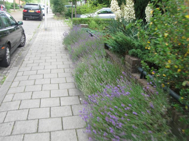 img_2717.jpg