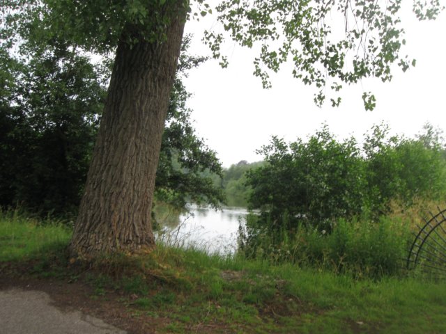 img_2724.jpg