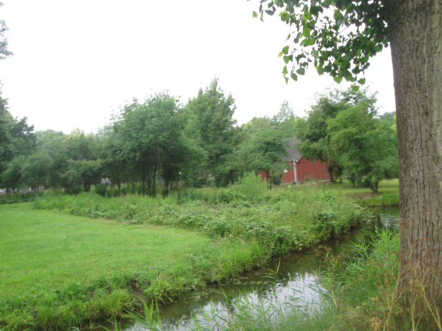 img_2725.jpg