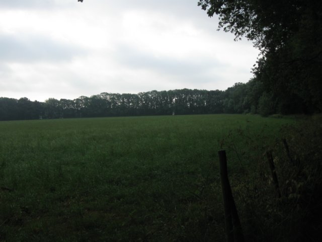 img_2745.jpg