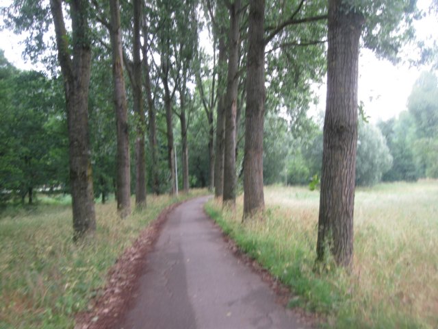 img_2755.jpg