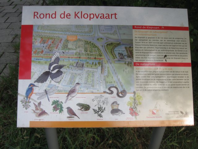img_2765.jpg