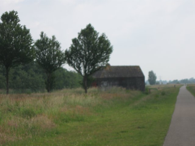 img_2779.jpg