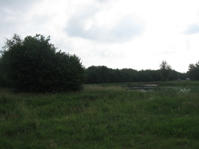 img_2780.jpg