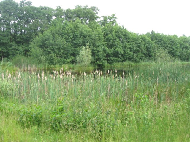 img_2782.jpg