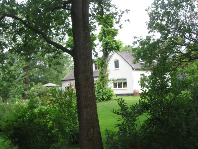 img_2803.jpg
