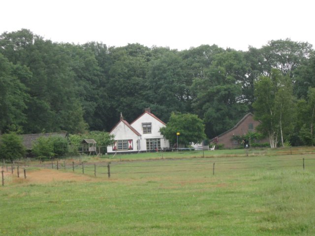 img_2817.jpg