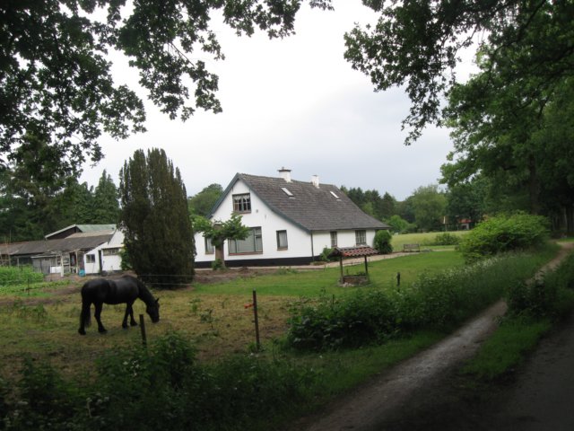 img_2821.jpg