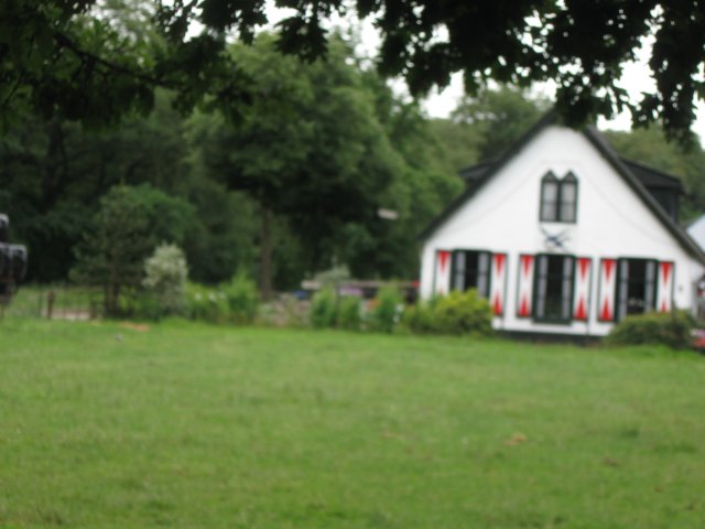 img_2826.jpg