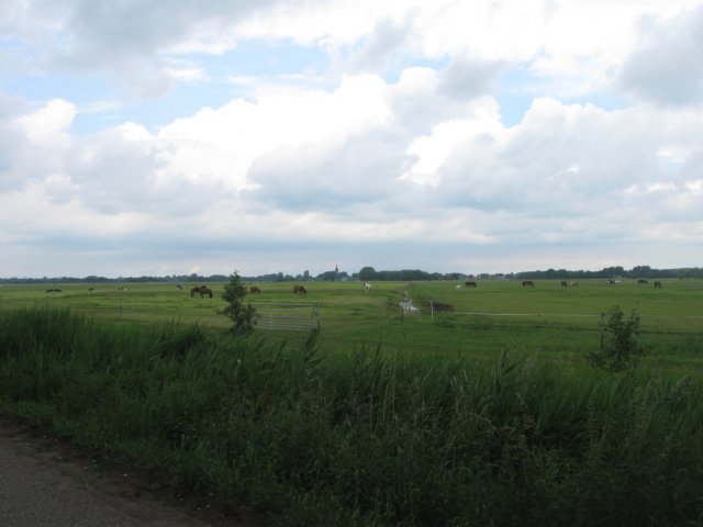 img_2841.jpg