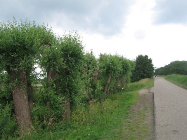img_2844.jpg