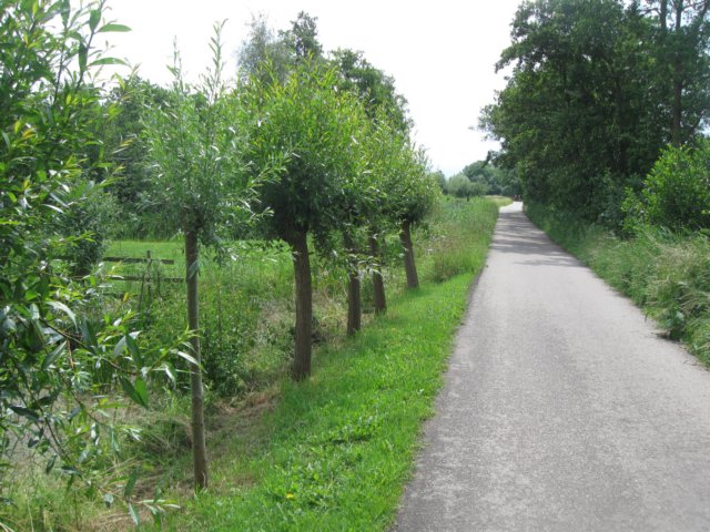 img_2855.jpg