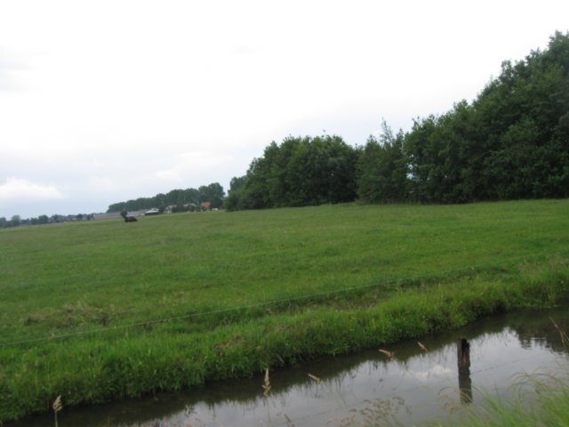 img_2872.jpg