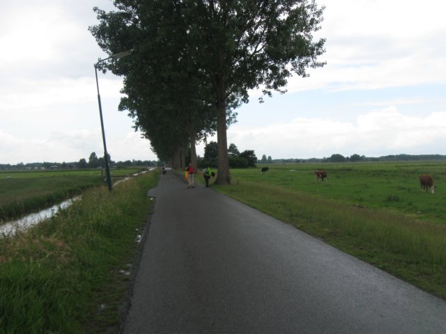 img_2874.jpg