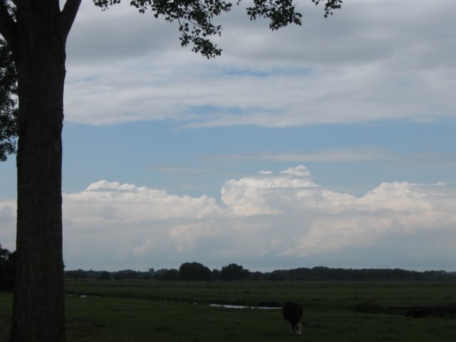 img_2875.jpg