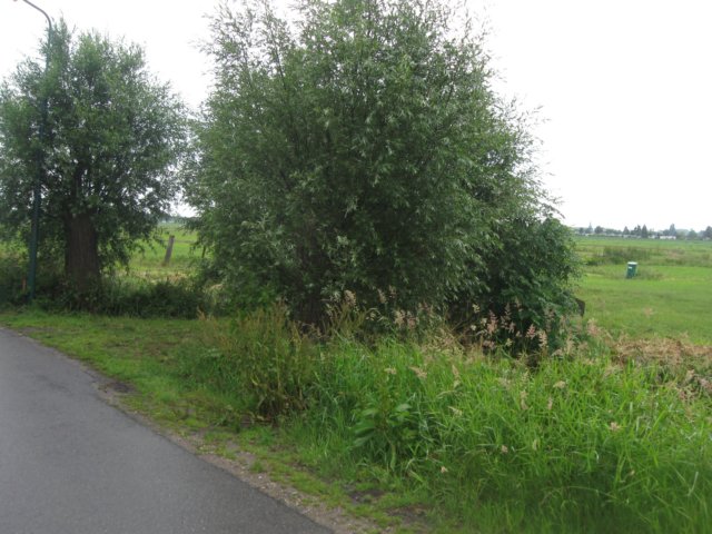 img_2878.jpg