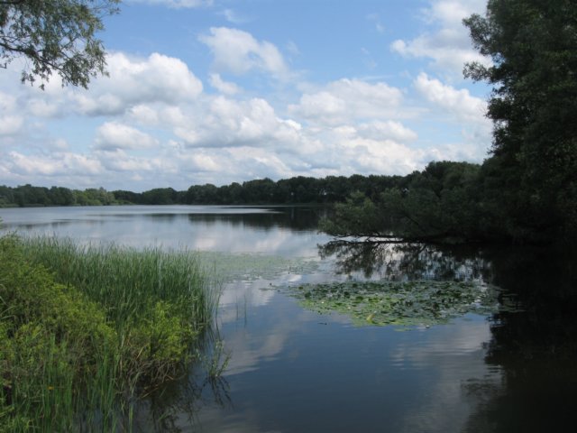 img_2897.jpg