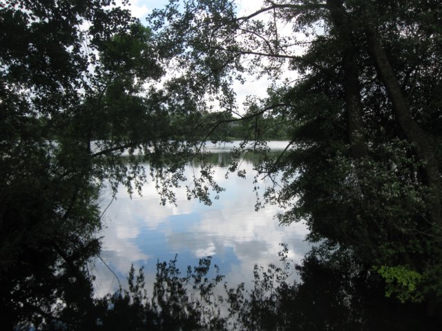 img_2899.jpg