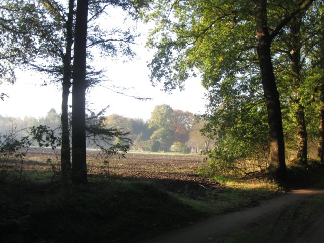 img_5587.jpg