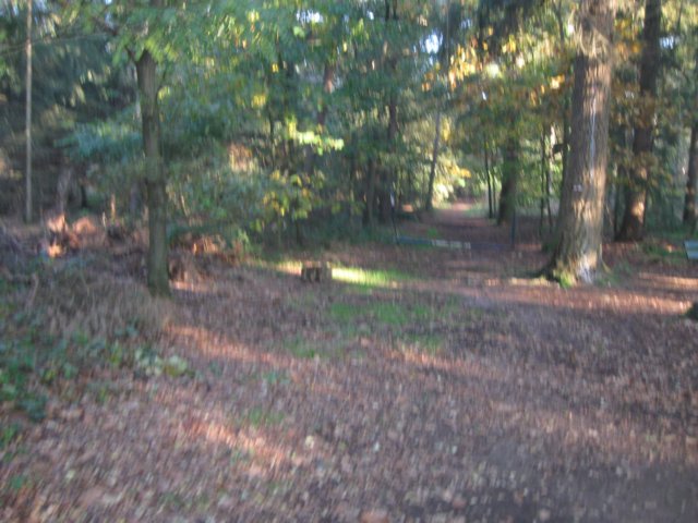 img_5588.jpg