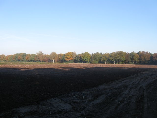 img_5590.jpg
