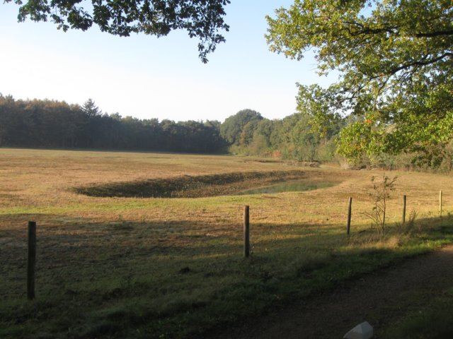 img_5591.jpg