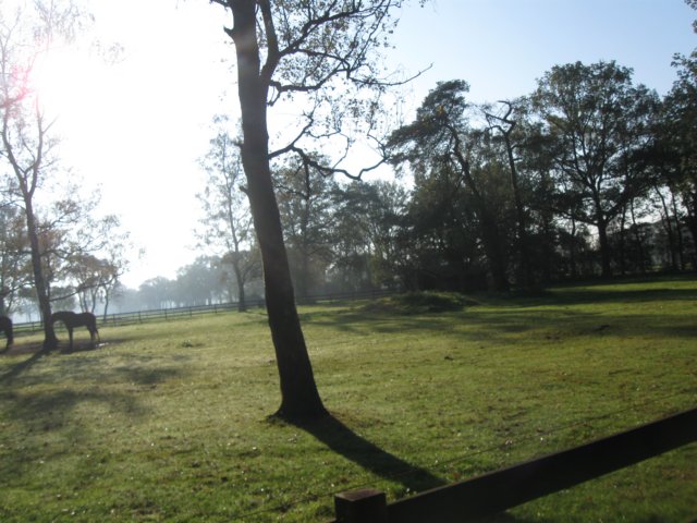 img_5592.jpg
