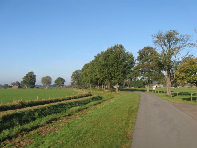 img_5593.jpg