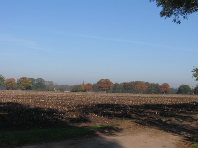 img_5594.jpg