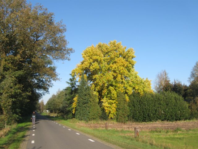 img_5596.jpg