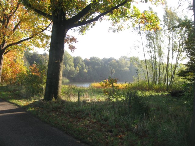 img_5599.jpg