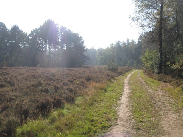 img_5601.jpg