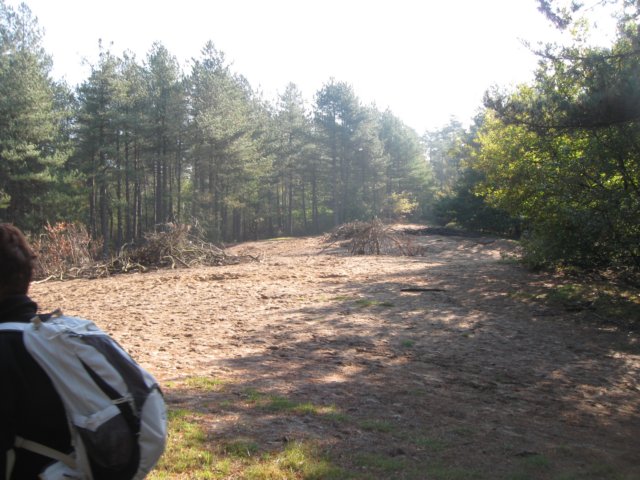 img_5603.jpg